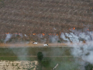 Pide municipio prevenir incendios forestales por quema en terrenos de uso agropecuario