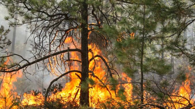 Urgen recursos para enfrentar incendios en el Estado: Congreso