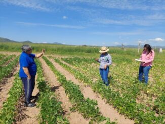 Apoya Gobierno del Estado a productores con gastos de seguros agrícolas