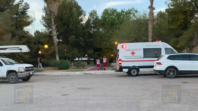 Trabajador sufre caída mientras realizaba mantenimiento en parque