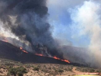 Trabajan 450 combatientes para controlar incendios forestales en ocho municipios
