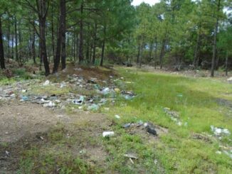 Hallan restos óseos humanos en Bocoyna