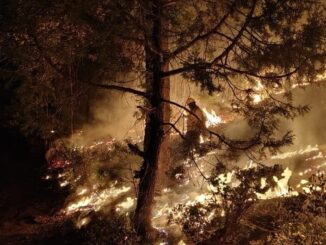 Combaten 381 brigadistas los 13 incendios forestales activos en 8 municipios del estado