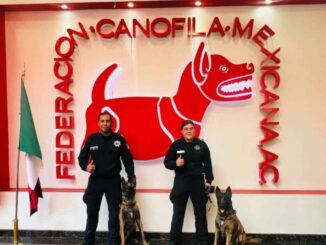 Galardonan a Unidad Canina de la SSPM como Policía del Año 2024