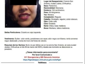 Localizan a mujer y niño que contaban con Protocolo Alba