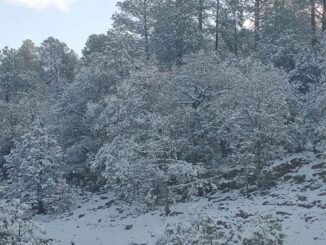 Se mantiene pronóstico de lluvias y nevadas para el fin de semana