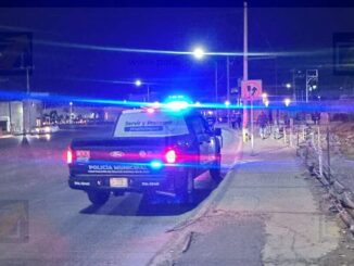 Detienen a un hombre que agredía a un perro en el Fuentes Mares