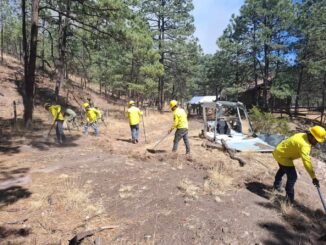 Disminuyen incendios forestales activos en la entidad: SDR