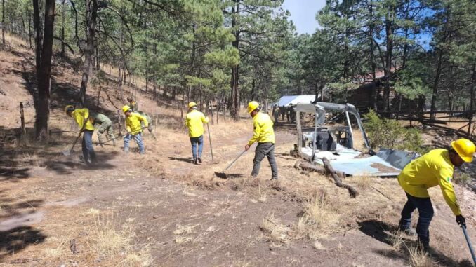 Disminuyen incendios forestales activos en la entidad: SDR