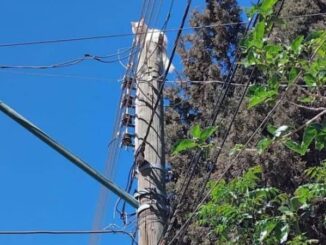 Vecinos piden auxilio y ninguna autoridad responde para salvar al gatito con dos días en el lugar