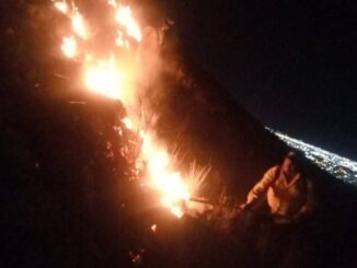 Incendio en Cerro del Mogote quedó liquidado en su totalidad: Gobierno Municipal
