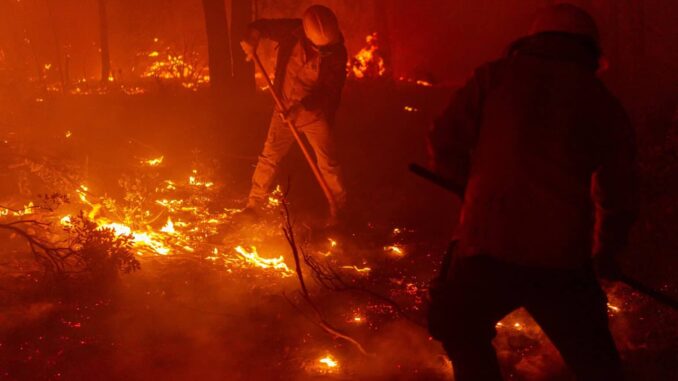 Registra SDR siete incendios forestales activos en el estado