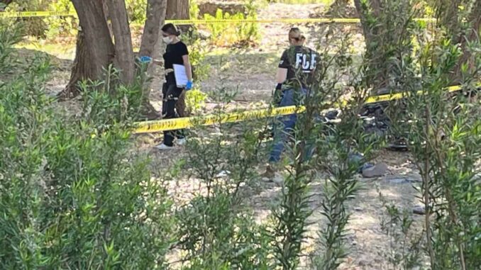 Localizan dos ejecutados en camino de Aldama