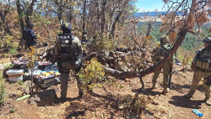 Destruyen campamento de la delincuencia organizada en Madera