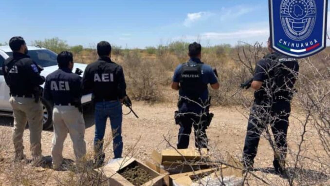 Asegura Operativo Conjunto más de 20 kilogramos de marihuana en Villa López