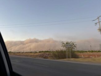 Alertan por baja visibilidad en tramo carretero Chihuahua-Delicias