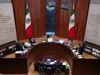 TEPJF debe resolver si perfiles de candidatos a la elección judicial son aptos o no: Sheinbaum