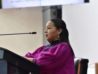 Busca diputada Edith Palma garantizar representación indígena en diputaciones y regidurías