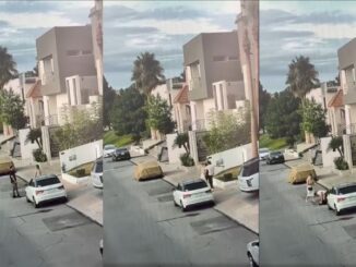 Difunden video del agresor del guardia del San Francisco, golpeando a otro hombre 