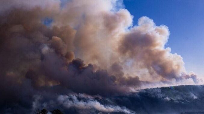 Registra SDR cinco incendios forestales activos en la entidad