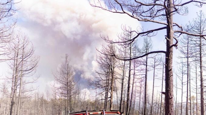 Combaten 30 brigadistas cuatro incendios forestales en zona serrana