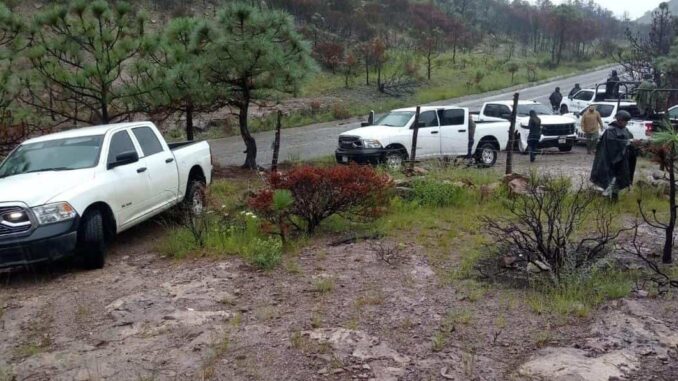 Localizan cuerpo d€snudo en entronque de Temósachic