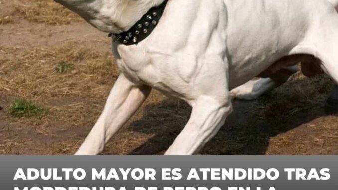 Adulto mayor es atendido tras mordedura de perro en la colonia Alcaldes