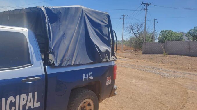 Sujetos saquean maquiladora y dañan universidad en Cuauhtémoc