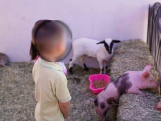 Centro de Justicia para las Mujeres celebra el Día de la Niñez