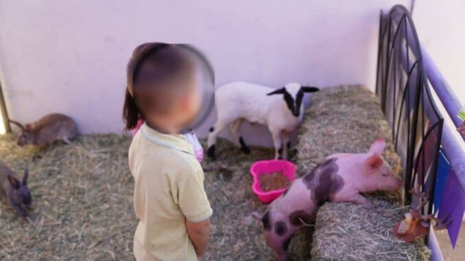 Centro de Justicia para las Mujeres celebra el Día de la Niñez