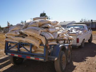 Abre municipio convocatoria para apoyar a productores con insumos agropecuarios