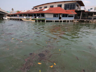 Derrame de hidrocarburo en Tabasco mata peces y cierra playas; acusan a Pemex