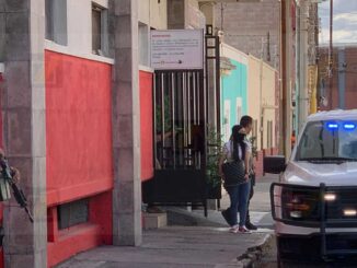 Aseguran plantas de marihuana durante cateo en céntrico hotel