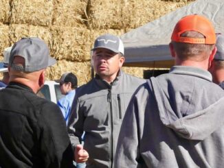 Respalda GPPAN a ganaderos de Chihuahua y exige al Gobierno Federal que atienda la crisis sanitaria