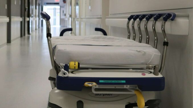 Secretaría de Salud detecta 6 casos de miasis humana por gusano barrenador