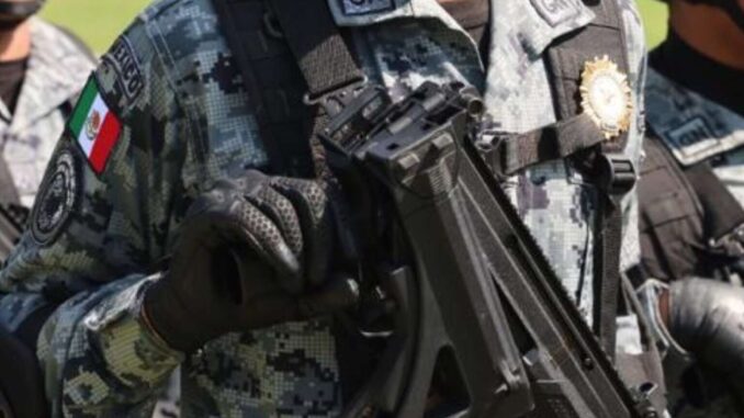 Sheinbaum anuncia reforzamiento de la seguridad en Veracruz previo a elecciones