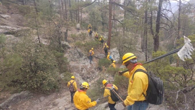 Permanecen activos dos incendios en el municipio de Madera