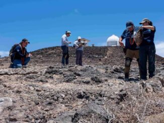 Restauración integral de las islas de México, premiado como Iniciativa Emblemática de Restauración Mundial de la ONU