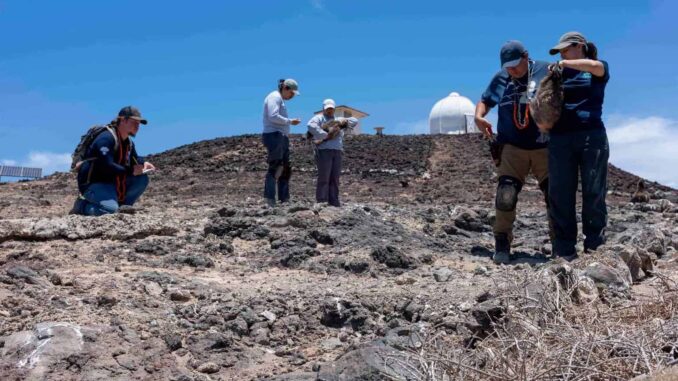 Restauración integral de las islas de México, premiado como Iniciativa Emblemática de Restauración Mundial de la ONU