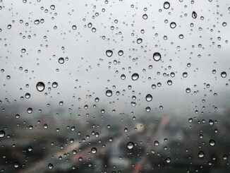 Onda Tropical 3 ocasionará lluvias este 16 de junio: SMN