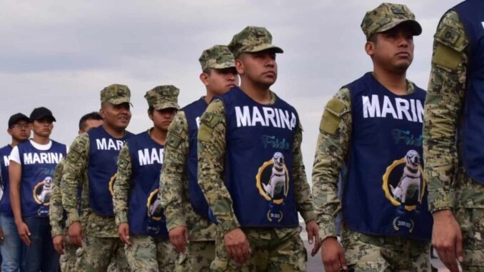 Gobierno despliega a más de 17 mil elementos de Marina y Defensa por «Erick»