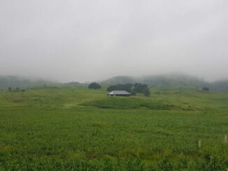 Pronostican altas temperaturas, lluvias y vientos a partir de este viernes
