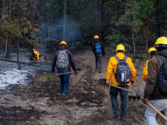 Liquidan brigadistas tres incendios forestales de ayer a hoy
