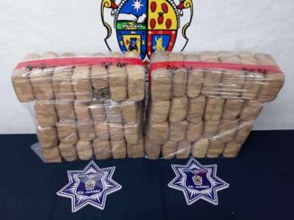 Decomisan 50 libras de mariguana y un vehículo robado