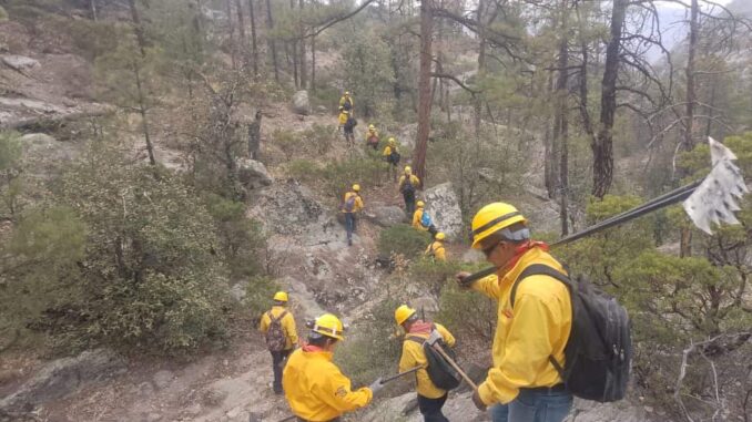 Combaten 165 brigadistas 11 incendios forestales activos en la entidad