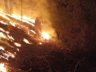 Reporta SDR 10 incendios forestales activos en el estado