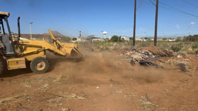 Chapopotera  involucrada en caso de perritos, limpia el terreno y retira residuos