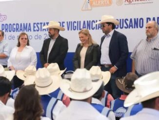 Gobierno de Maru Campos y ganaderos mantienen a Chihuahua libre de Gusano Barrenador