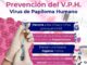 Comparte Gobierno Municipal recomendaciones para prevenir el Virus de Papiloma Humano