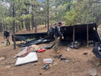 Destruyen campamento utilizado por integrantes del crimen organizado en Madera